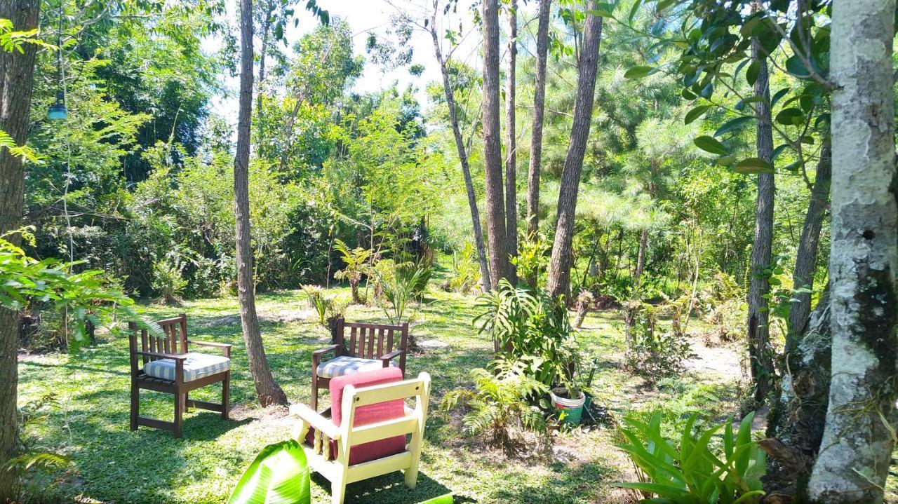 Апартаменты Sitio Sapiranga Экстерьер фото